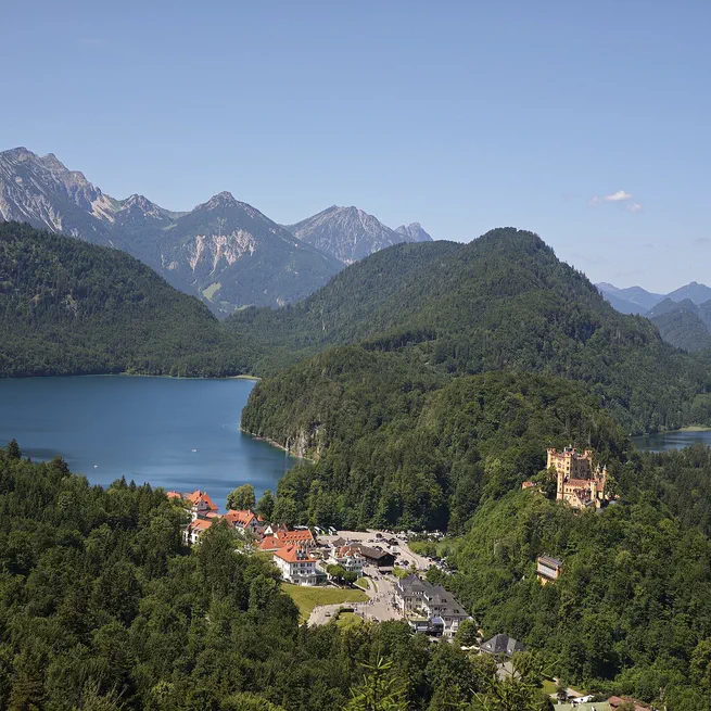 ACNS/ACNS-SCI 2025 参会小结